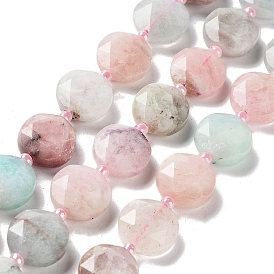 Natural Morganite Beads Strands, with Seed Beads, Faceted Hexagonal Cut, Flat Round