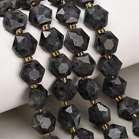 Natural Larvikite Beads Strands, Hexagon, Faceted, with Seed Beads