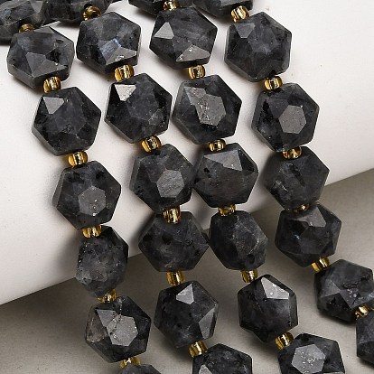 Natural Larvikite Beads Strands, Hexagon, Faceted, with Seed Beads