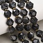 Natural Larvikite Beads Strands, Hexagon, Faceted, with Seed Beads