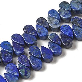 Brins de perles teints en lapis-lazuli naturel, larme, top foré