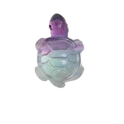 Natural Fluorite Carved Healing Tortoise Figurines, Reiki Stones Statues for Energy Balancing Meditation Therapy, Random Color