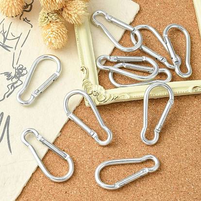 Aluminum Rock Climbing Carabiners, Key Clasps, with Iron Findings