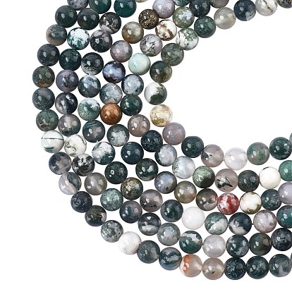 Natural Tree Agate Beads Strands, Round