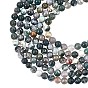 Natural Tree Agate Beads Strands, Round