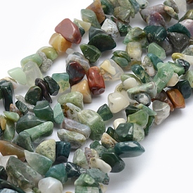 Natural Indian Agate Beads Strands, Chip