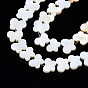 Natural Freshwater Shell Beads Strands, Butterfly
