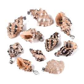 Pendentifs en laiton et coquillage spiralé naturel, charmes de conque
