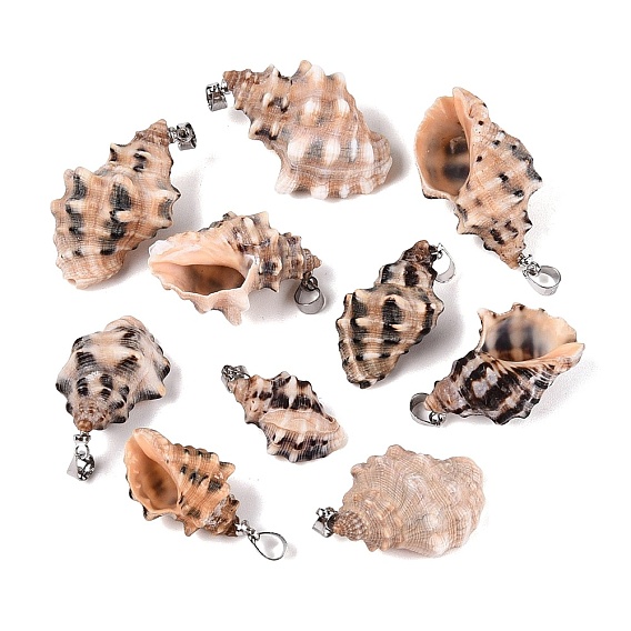 Brass & Natural Spiral Shell Pendants, Conch Charms