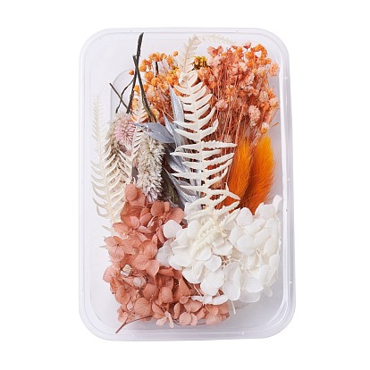 Dried Flowers, DIY Candle Soap Making Accessories, with Plastic Rectangle Box, Mixed Color