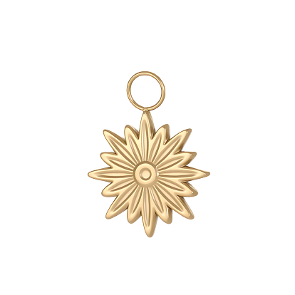 Солнечные подвески 304 подвески из нержавеющей стали, ионное покрытие (ip)