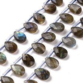 Natural Labradorite Beads Strands, Top Drilled Beads, Faceted, Teardrop
