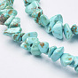 Synthetic Turquoise Beads Strands, Dyed, Chips
