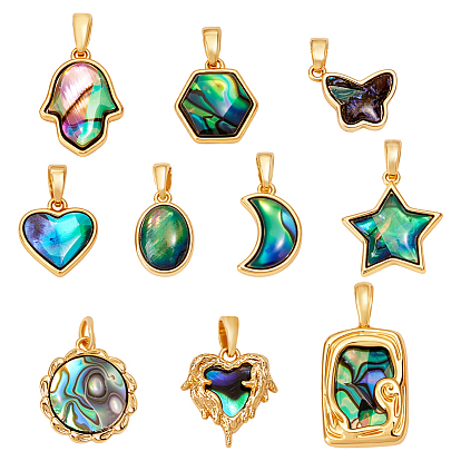 10шт 10 стили подвески из натуральной ракушки пауа, с латунной, разнообразные