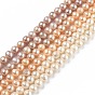 Grade AAA Natural Cultured Freshwater Pearl Beads Strands, Round