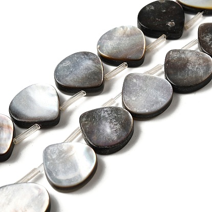 Натуральный черный оболочки губ бисер нитей, слеза, Топ пробуренной, с пластиковыми трубчатыми бусинами