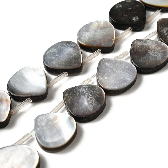 Натуральный черный оболочки губ бисер нитей, слеза, Топ пробуренной, с пластиковыми трубчатыми бусинами