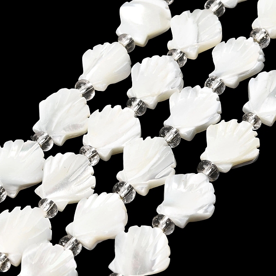 Натуральная оболочка из трохидных оболочек, с бисером, формы раковины