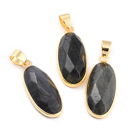 Natural Labradorite Pendants, with Golden Brass Findings, Faceted, Oval