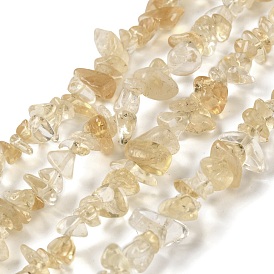 Natural Citrine Beads Strands, Chip