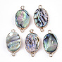 Natural Paua Shell Links Connectors, with Edge Brass Golden Plated and Iron Loops, Oval
