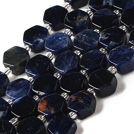 Natural Sodalite Beads Strands, Hexagon, with Seed Beads