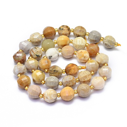 Natural Fossil Coral Beads Strands, Round, Faceted