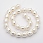 Oval Shell Pearl Bead Strands, Polished, 15x13x12mm, Hole: 1mm, about 26pcs/strand, 15.7 inch