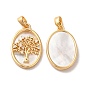 Brass Shell Pendants, with Cubic Zirconia, Oval with Tree of Life Pattern