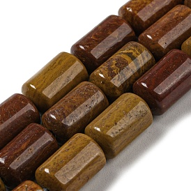 Natural Petrified Wood Beads Strands, Column