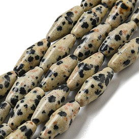 Natural Dalmatian Jasper Beads Strands, Bicone