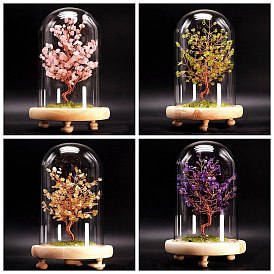 Natural Gemstone Display Decoration, with Brass Wire, for Home Desk Decorations, Tree of Life Cloche Bell Jar