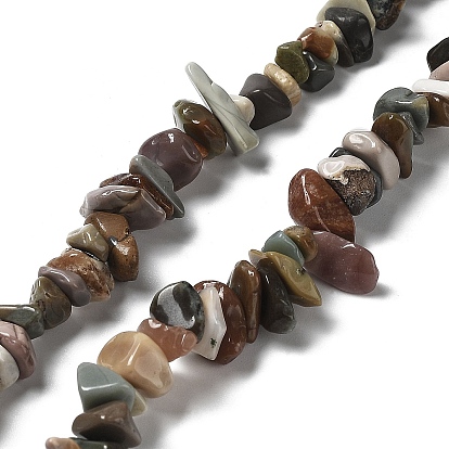 Natural Alashan Agate Beads Strands, Chip