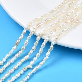  Natural Cultured Freshwater Pearl Beads Strands, Rice
