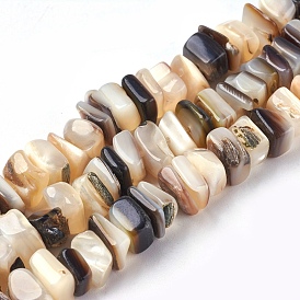 Freshwater Shell Beads Strands, Square Chip