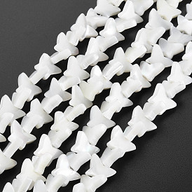 Brins de perles de coquille de trochid / trochus shell, papillon