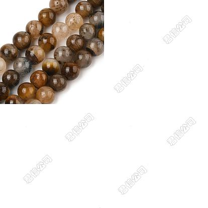 Perles d'oeil de tigre jaune naturel, Grade b, ronde