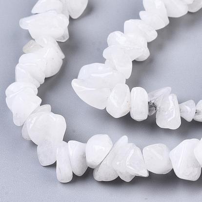 Natural White Moonstone Beads Strands, Chip