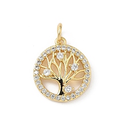 Настоящее золото 16K Латунные микро проложить кубического циркония подвески, без кадмия и без свинца, древо жизни, с целью перехода в кольце, реальный 16 k позолоченный, 16x13.5x3 мм, отверстие : 3 мм