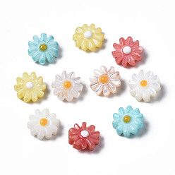 Mixed Color Natural Freshwater Shell Beads, with Enamel, Flower, Mixed Color, 8x4mm, Hole: 0.8mm