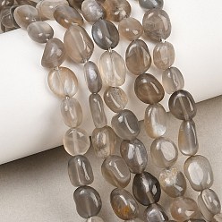 Grey Moonstone Brins de perles de pierre de lune grise naturelle, nuggets, pierre tombée, 8~12x7~8.5x4~7mm, Trou: 0.8mm, Environ 41~43 pcs/chapelet, 15.08~15.47'' (38.3~39.3 cm)