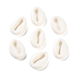 Белый Непрозрачные акриловые подвески на тему океана, форма раковины каури, белые, 18x13x4.5 мм, отверстие : 2 мм, о 724шт / 500G