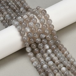 Grey Moonstone Натуральные серые бусины из лунного камня, круглые, 8 мм, отверстие : 0.8 мм, около 48 шт / нитка, 15.43'' (39.2 см)