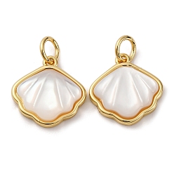 Белые Ракушки Подвески из латуни с натуральными белыми ракушками, подвески в форме ракушек с соединительными кольцами, реальный 18 k позолоченный, стойки покрытие, долговечный, без кадмия и без свинца, 14x13.5x4 мм, отверстие : 3.5 мм