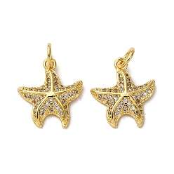Морская звезда Латунные микро проложить кубического циркония подвески, морские животные, с целью перехода в кольце, стойки покрытие, долговечный, без свинца и без кадмия, реальный 18 k позолоченный, морская звезда, 15x13.5x2.5 мм, отверстие : 3.5 мм