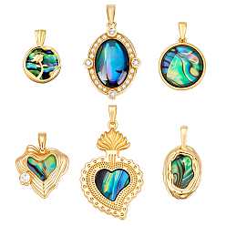 Mixed Shapes 6 шт. 6 стили подвески из натуральной латуни с паве из ракушек пауа, реальный 14 k позолоченный, разнообразные, 16.5~31.5x12~20x3~4.5 мм, отверстие : 4.5~5x2.5~3.5 мм, 1 шт / стиль