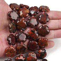 Брекчированных Джаспер Природные брекчированных яшмы бисер нитей, цветок, с бисером, 19~20x19~20x6~7 мм, отверстие : 1~1.2 мм, около 20 шт / нитка, 16.22 дюйм (41.2 см)