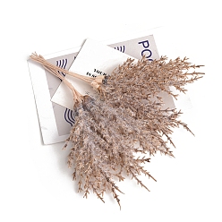 чертополох Искусственные замороженные ветки из пластика и железа, для свадьбы, внутреннего, наружного, домашнего, садового, крыльца, оконного, растительного украшения, чертополох, 190 мм, 6 шт / комплект