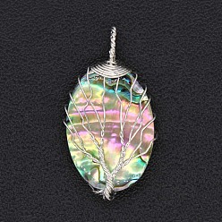 Silver Natural Paua Shell Pendants, Oval with Tree of Life, Silver, 38x22mm