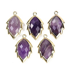 Аметист Подвески из натурального аметиста в форме листа, стойки обшивки латунные прелести, золотые, 23x13.5x5.5 мм, отверстие : 1.2 мм